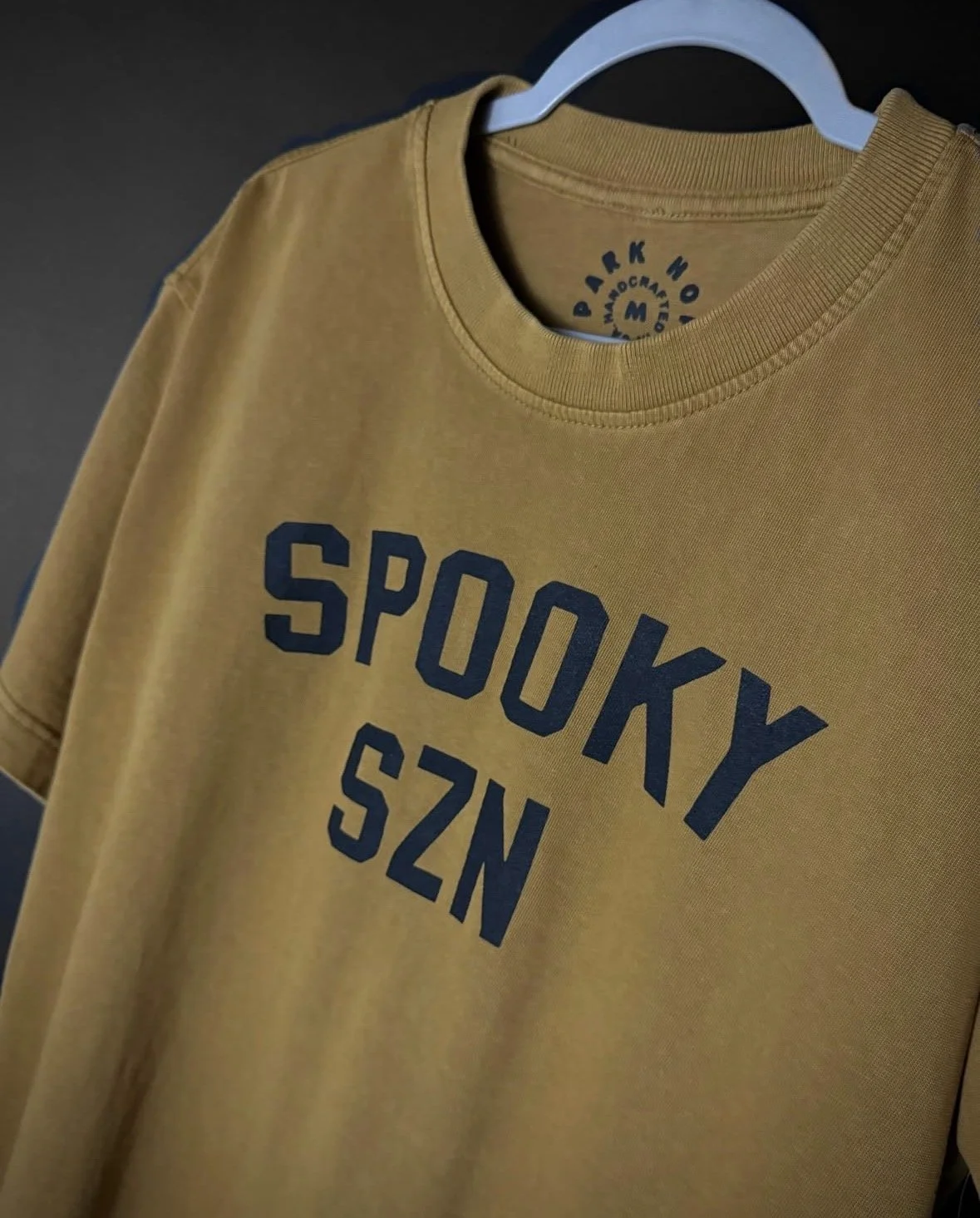 Spooky Szn Premium Oversized Boxy Tee — Park Hop Tees